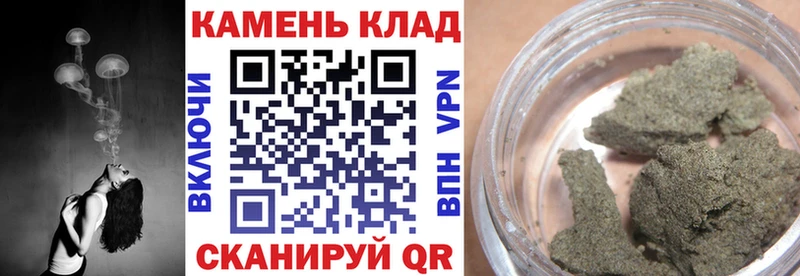 OMG ONION  Любань  ГАШ индика сатива 