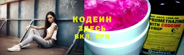 PSILOCYBIN Аркадак
