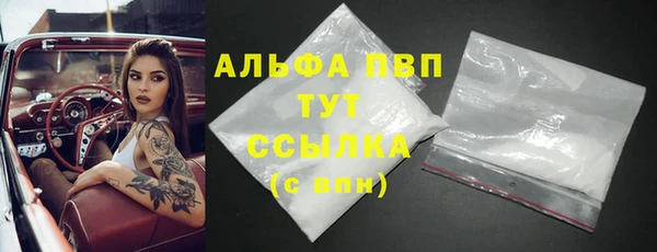 PSILOCYBIN Аркадак