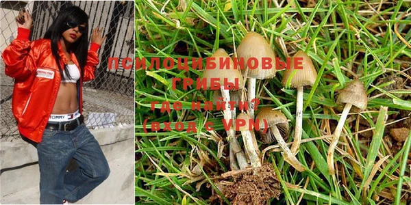 прущая мука Армянск