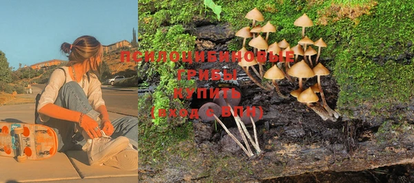 PSILOCYBIN Аркадак