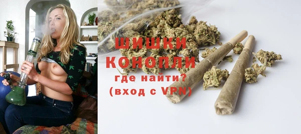 PSILOCYBIN Аркадак