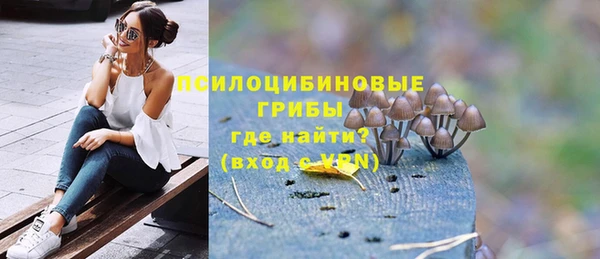герыч Арсеньев